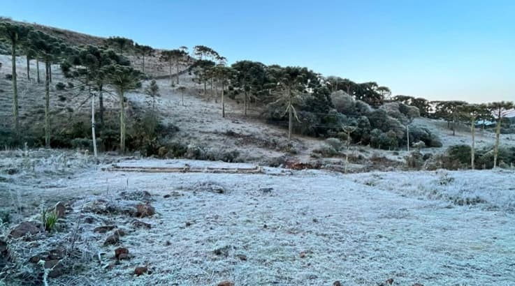Geadas: Frio de -9,1°C congela a paisagem na região mais fria do Brasil - Caçador Online